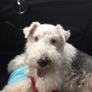 Meet your Posher, Joanna